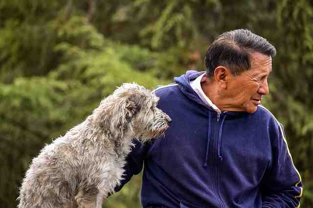 Est-ce que les chiens sentent la mort ?